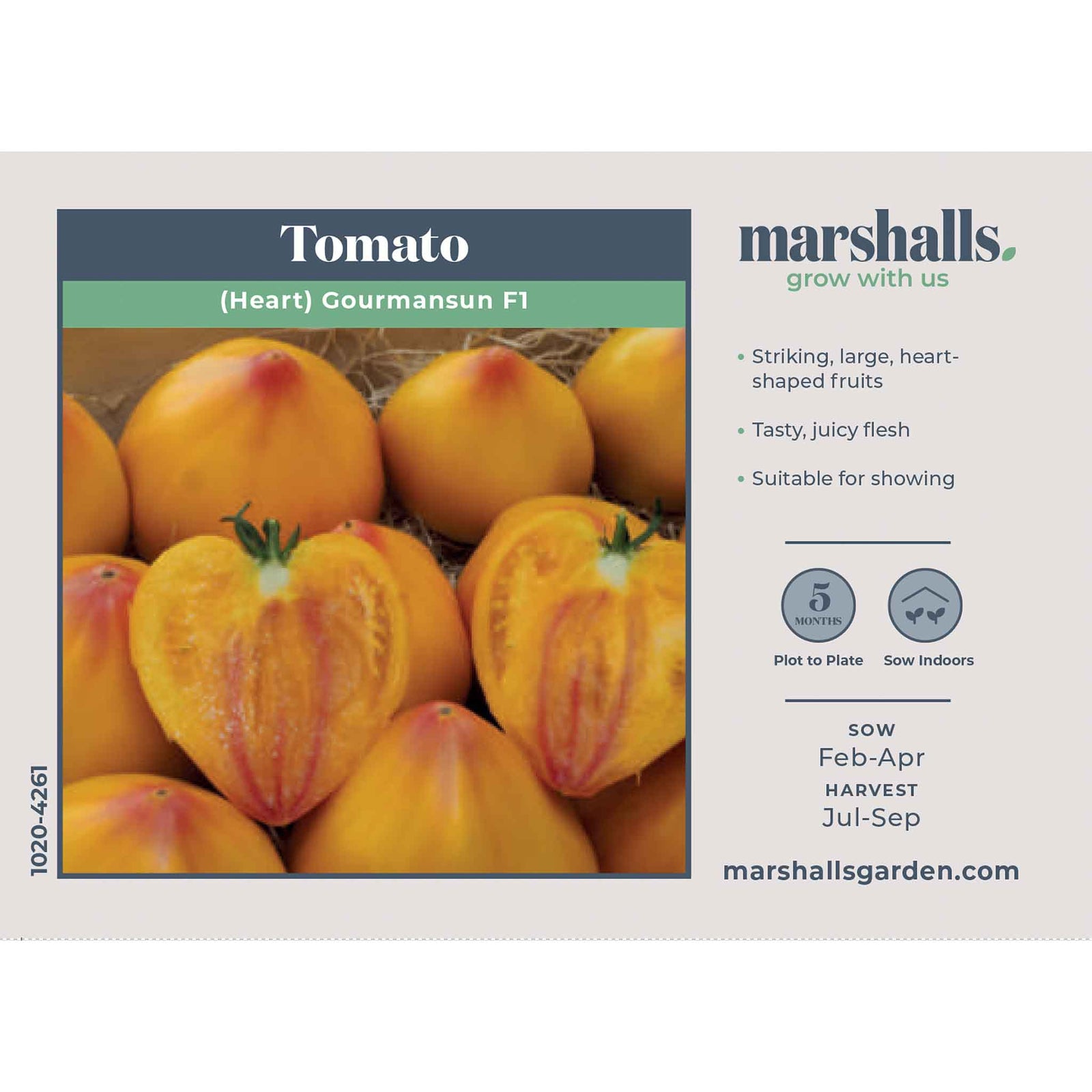 Tomato Seeds Gourmansun F1 - Oxheart Golden-orange, Blight Resistant | 6 Seeds