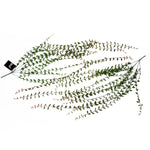 120cm Artificial Hanging String Of Pearls
