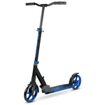 Big 2 Wheel Scooter