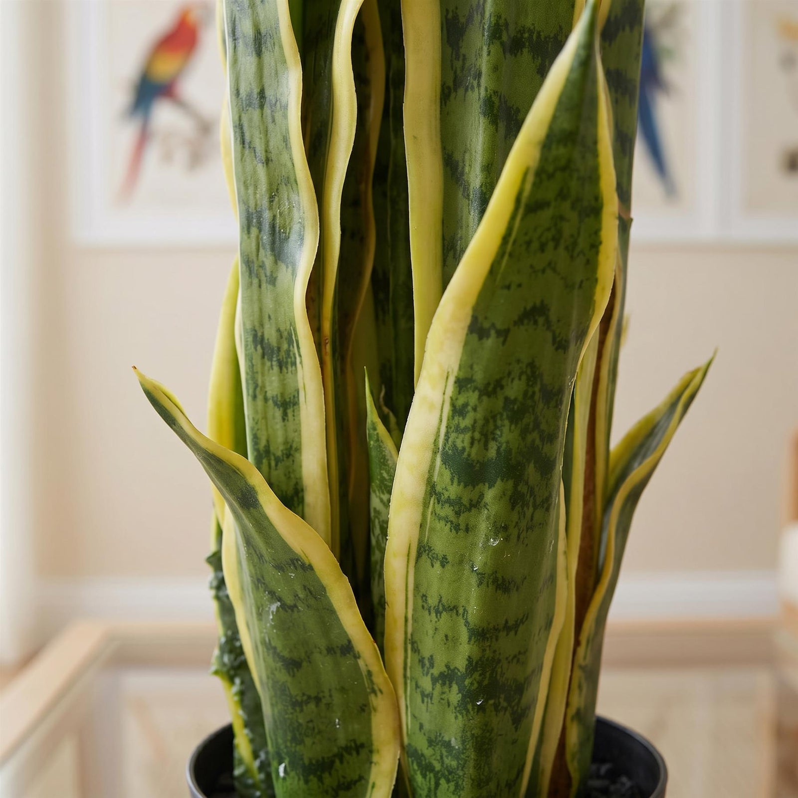 55cm Sansevieria Yellow Green Artificial Indoor Plant