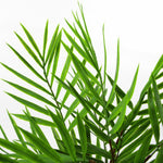 6 X 40cm Artificial Bamboo Palm Bush Plant