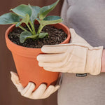 Luxury Leather Water Resistant Gloves For Gardening, Ladies Medium | Medium | Tan