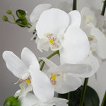 60cm Orchid Artificial White Gold Ceramic Planter