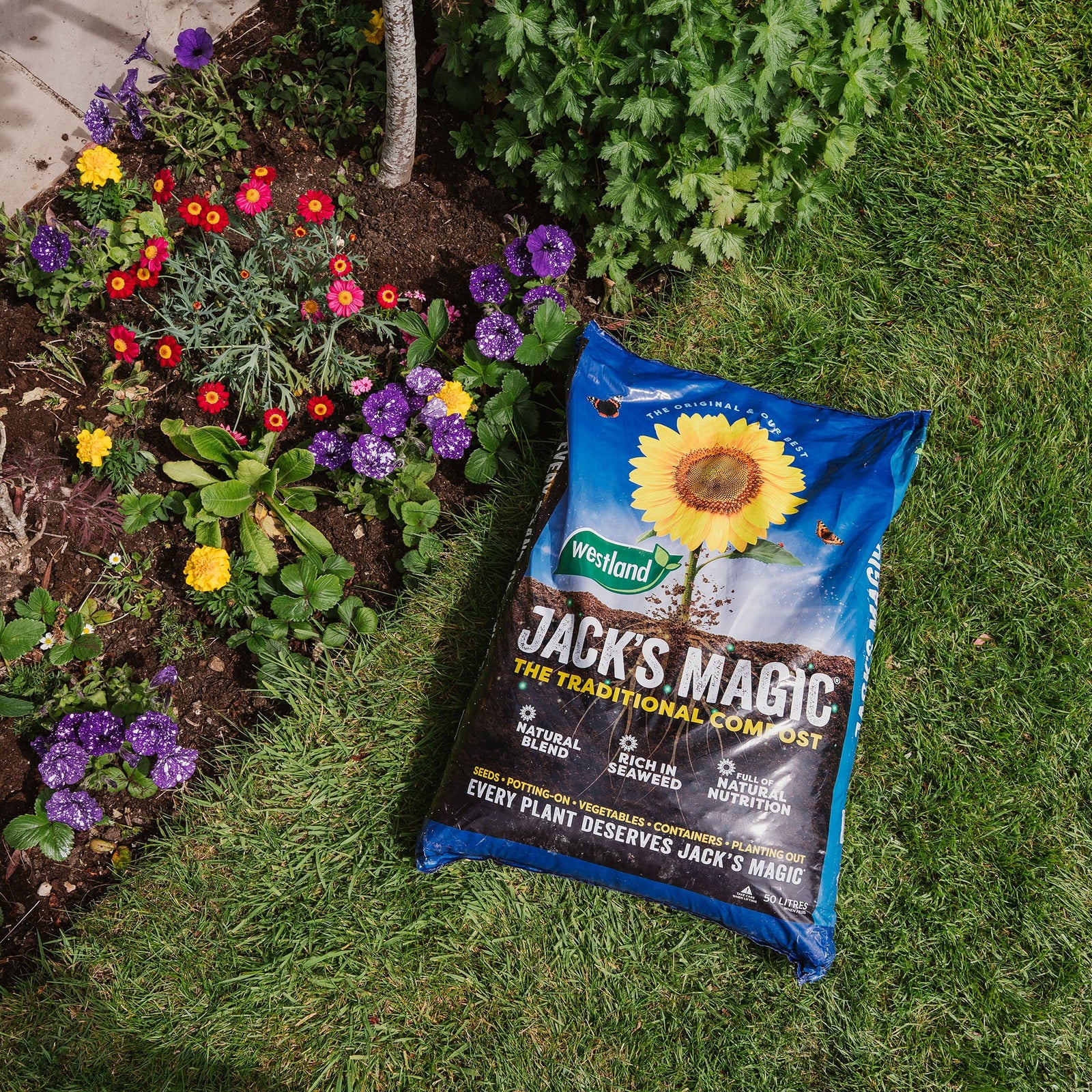 Jack's Magic All-purpose Compost | 50l