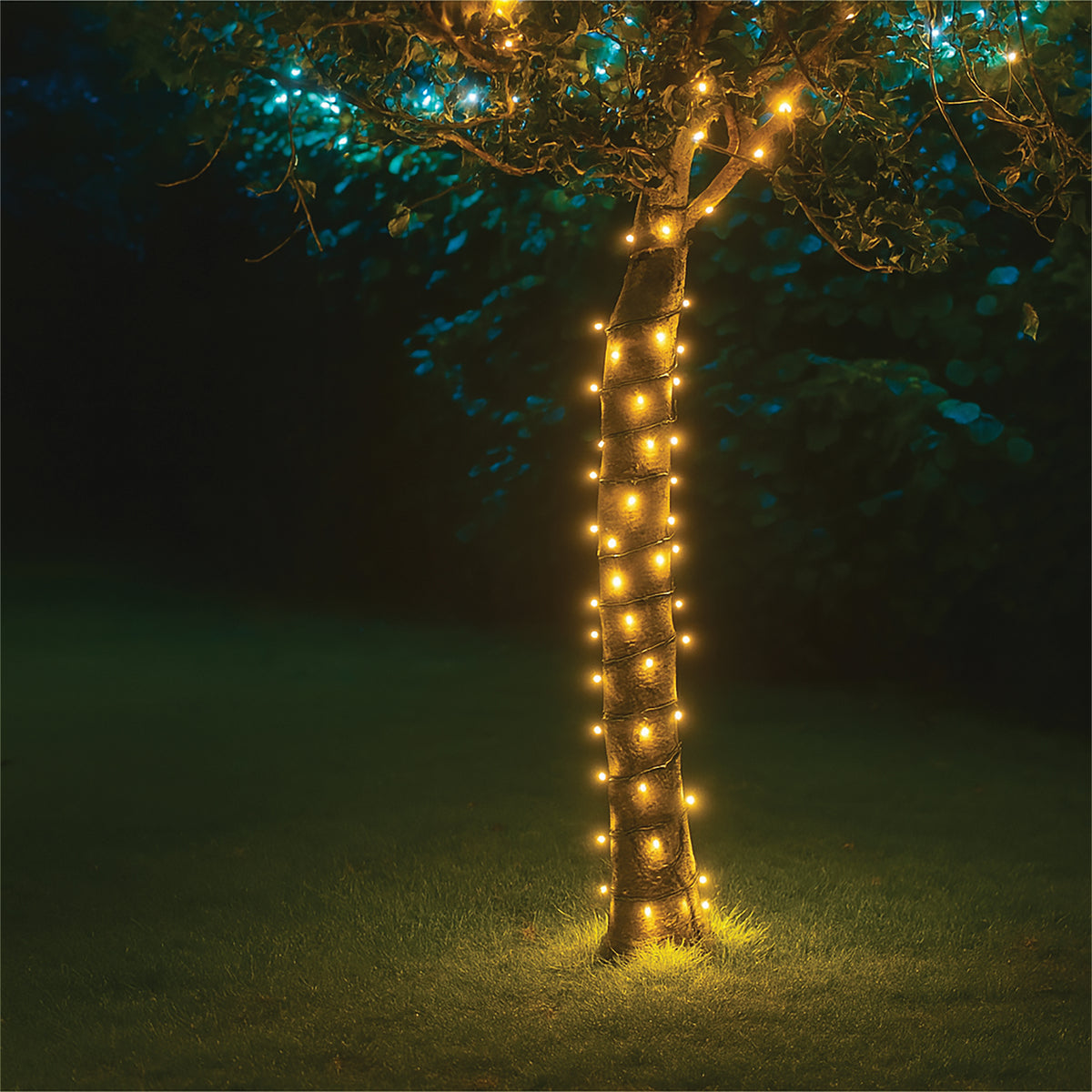 Eagle Connect Led String Lights Black Rubber Warm White