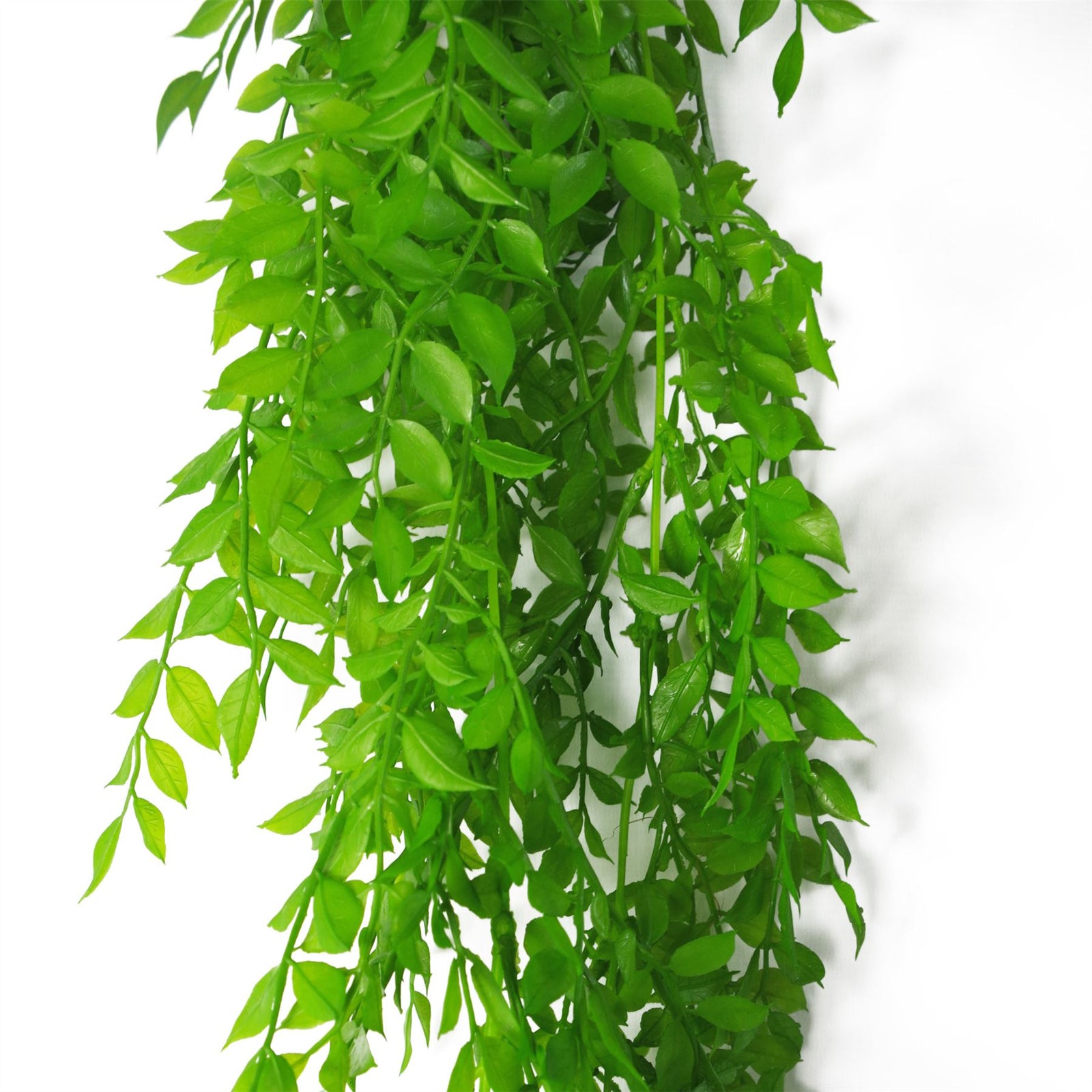 Hanging String Of Pearls Fern Plant Light Green 100cm Artificial