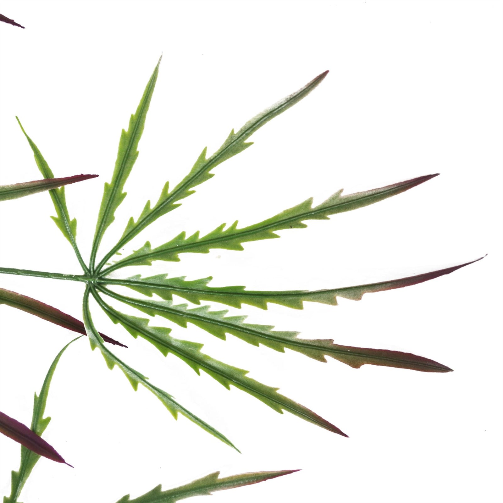 Pack Of 12 X 100cm Artificial Hanging Acer Spider Plant