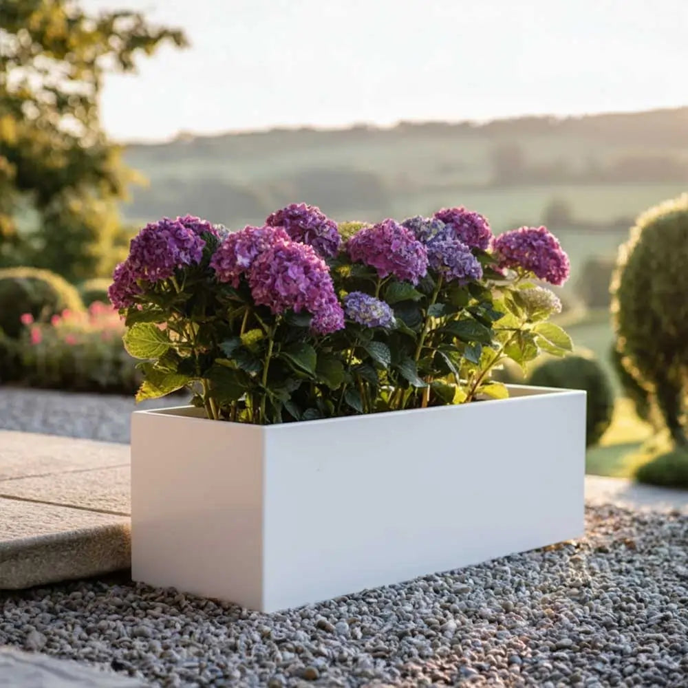 Zinc Galvanised Trough Planter | 75cm x 32cm x 32cm | White