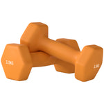 Set Of 2 Hexagonal Dumbbells Weights Pair | Small | Orange