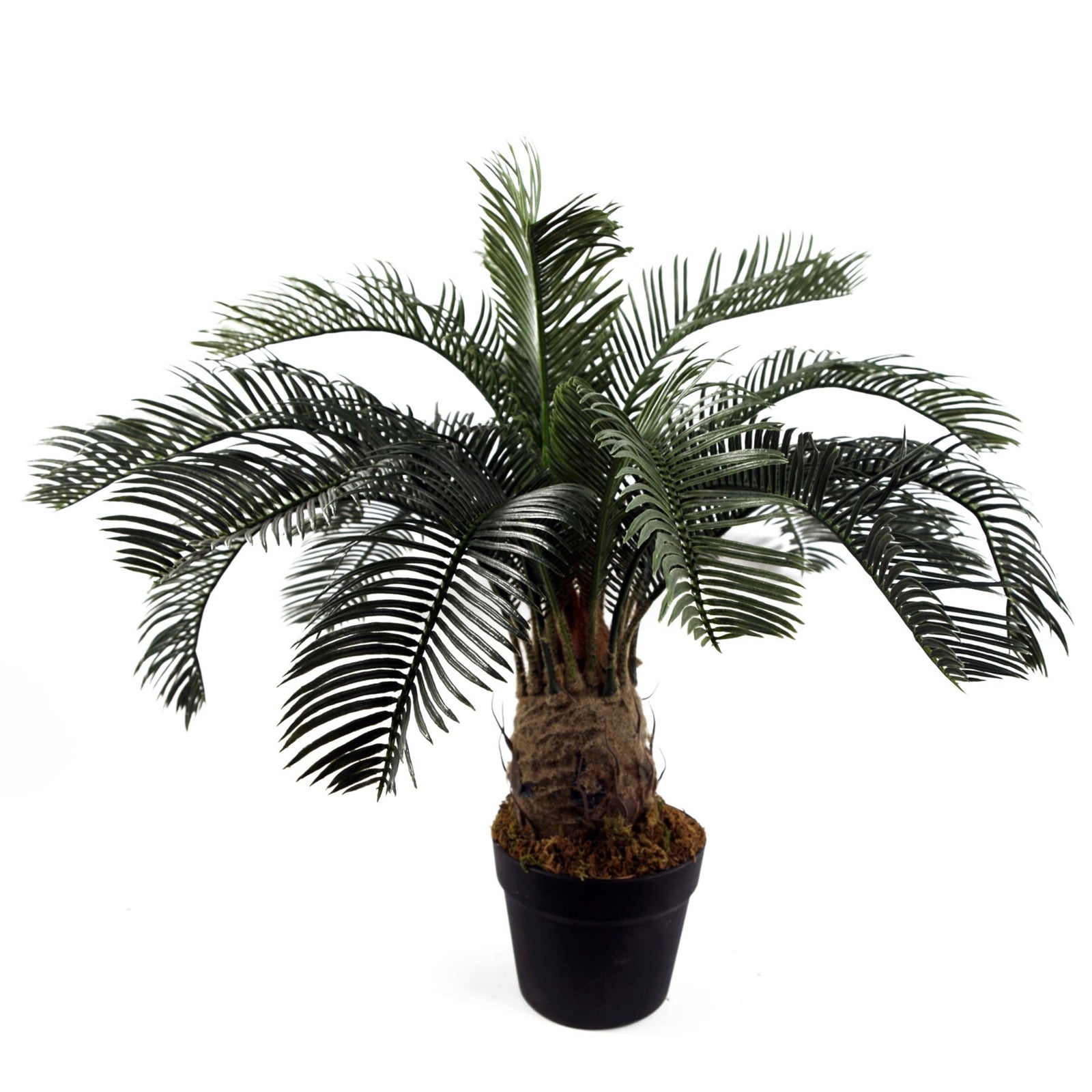 Large Artificial Palm Tree 60cm Cycas Plant Uk