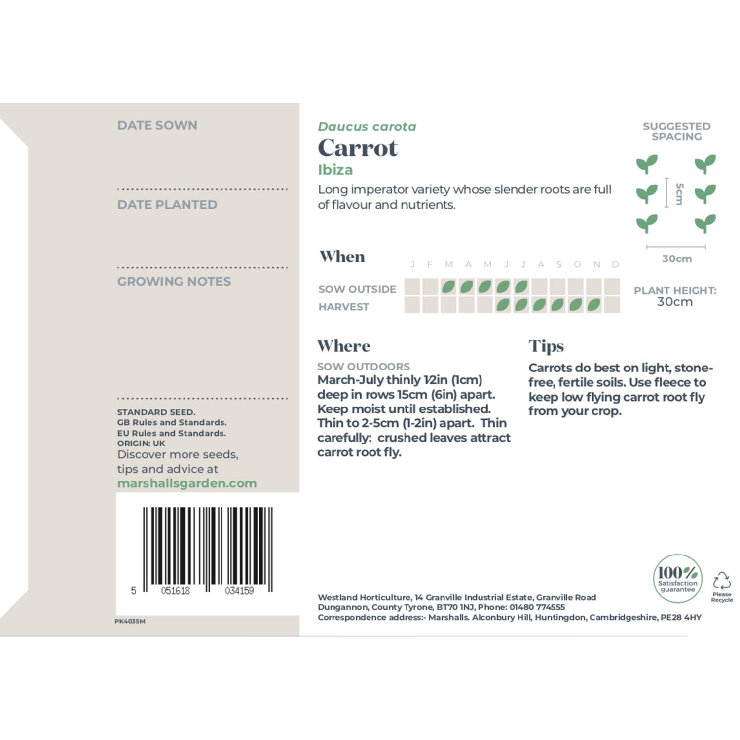 Ibiza Carrot | 500 Seeds