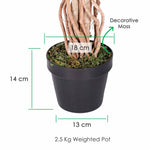 Artificial Handcrafted Ficus Tree With Real Wood Trunk | 4ft | Multi Colour
