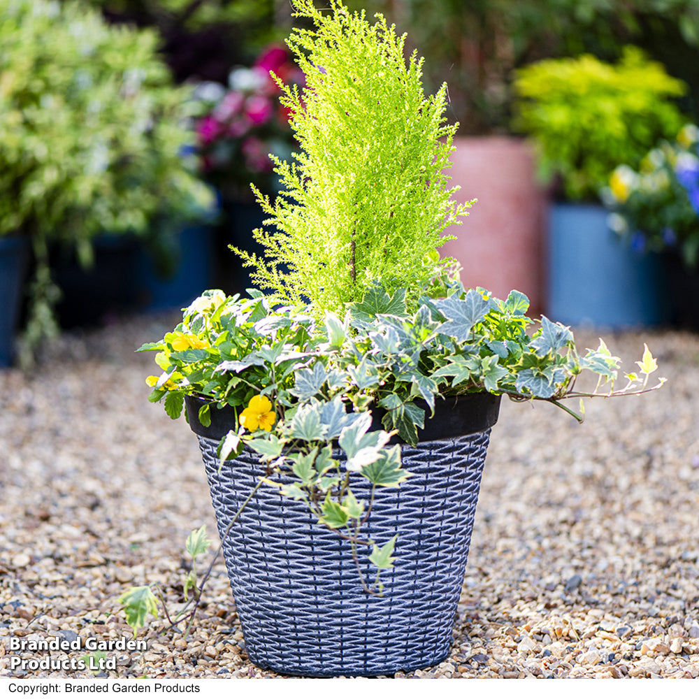 Rattan Design Planter (d30 X H25cm) | Set of 1