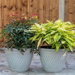 Bali 14in Planter Antique Beige 24l Plastic | Set of 1