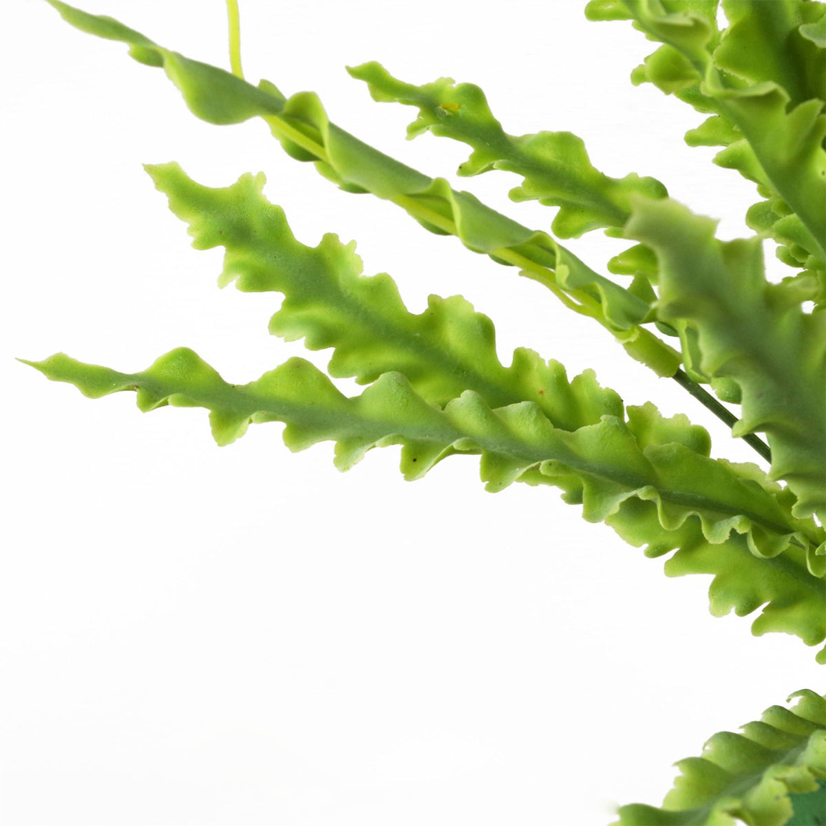12 X 40cm Artificial Crocodile Fern Plant