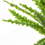 Artificial Fern Plant 40cm Artificial Crocodile Fern Plant Pack 12