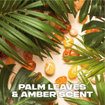 3 In 1 Body, Face & Hair Wash Shower Gel Extra Fresh Jungle Fresh 225ml | Set of 18