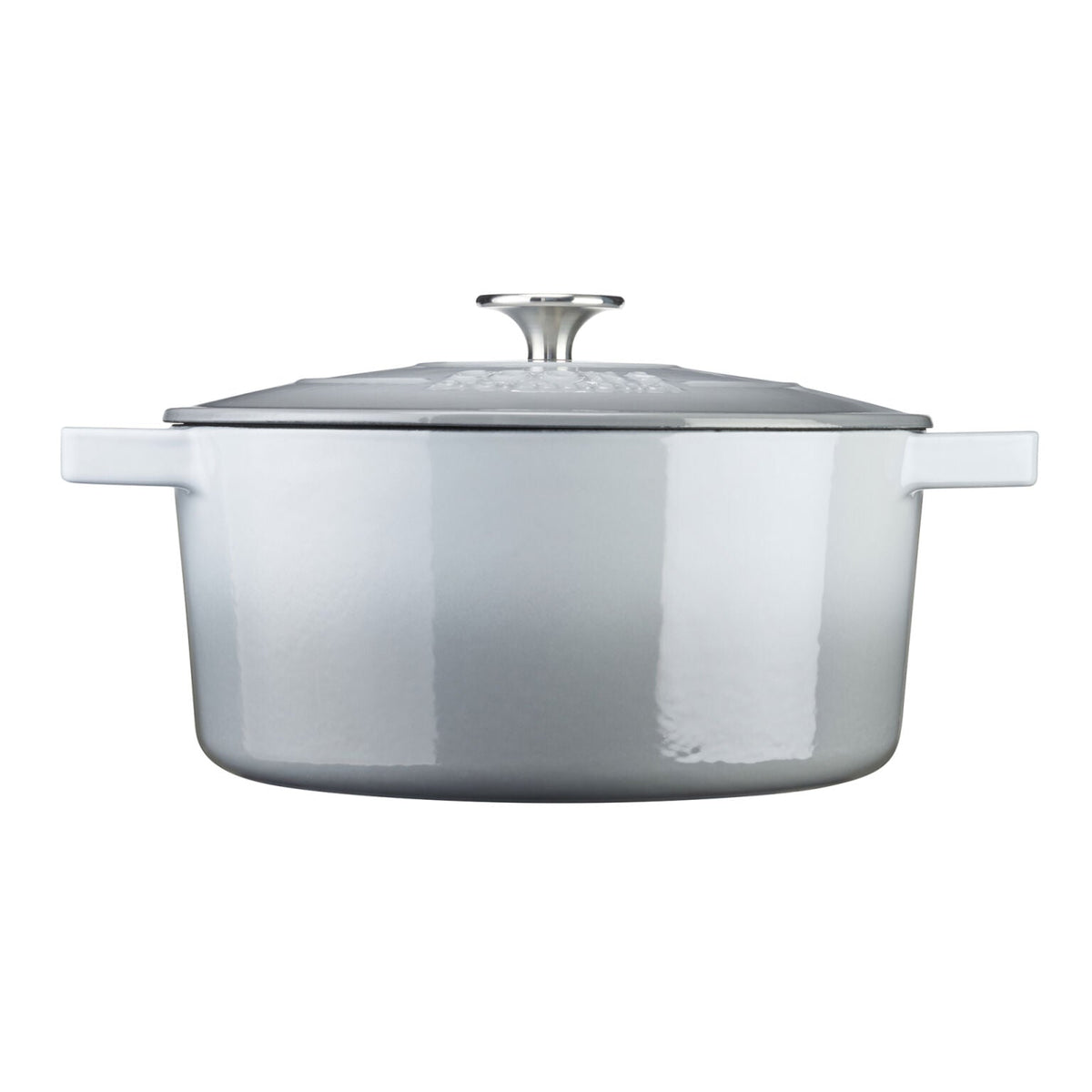 Cast Iron Casserole Dish 26cm Oven Proof Pan & Lid | 26cm | Gray