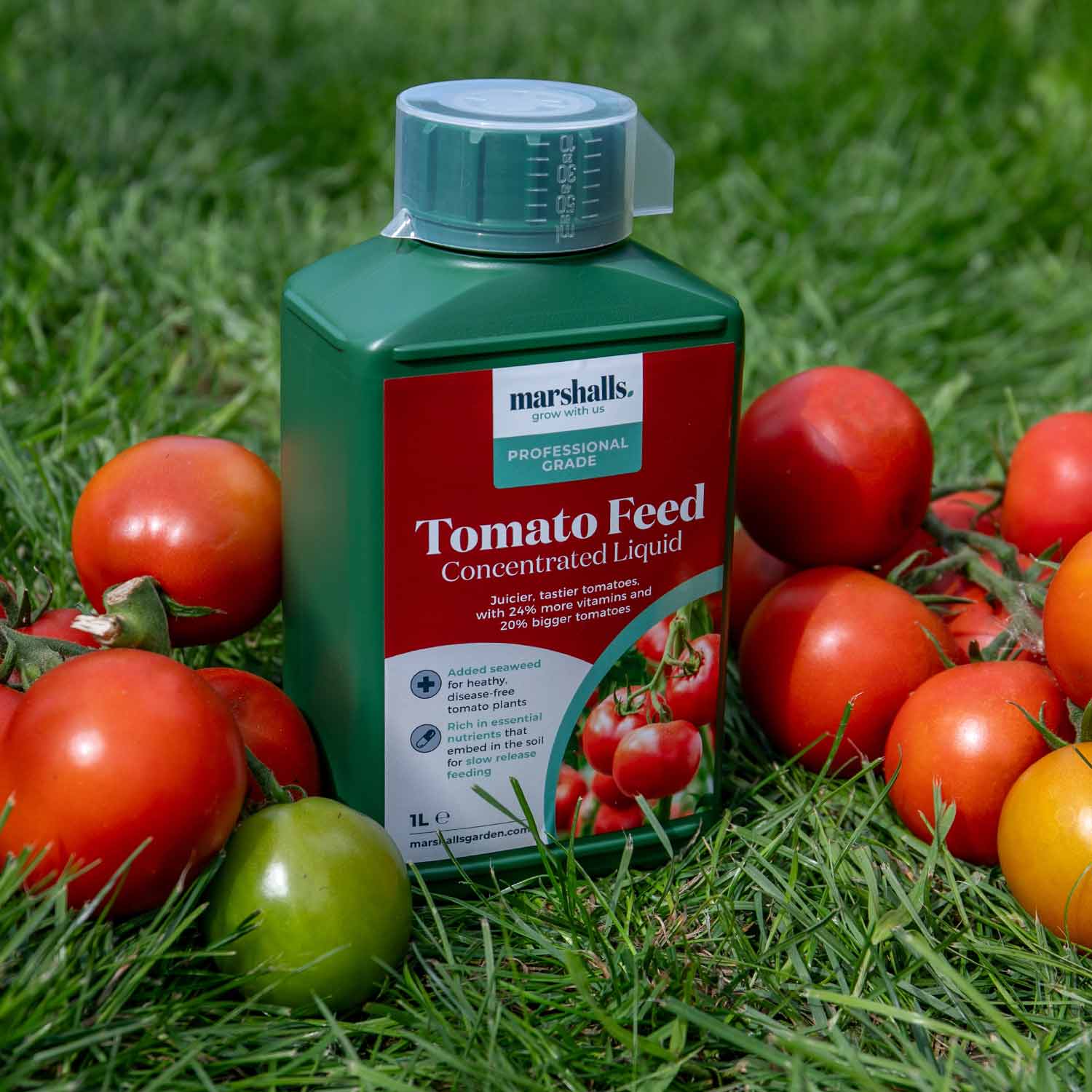 Liquid Tomato Feed | 1L