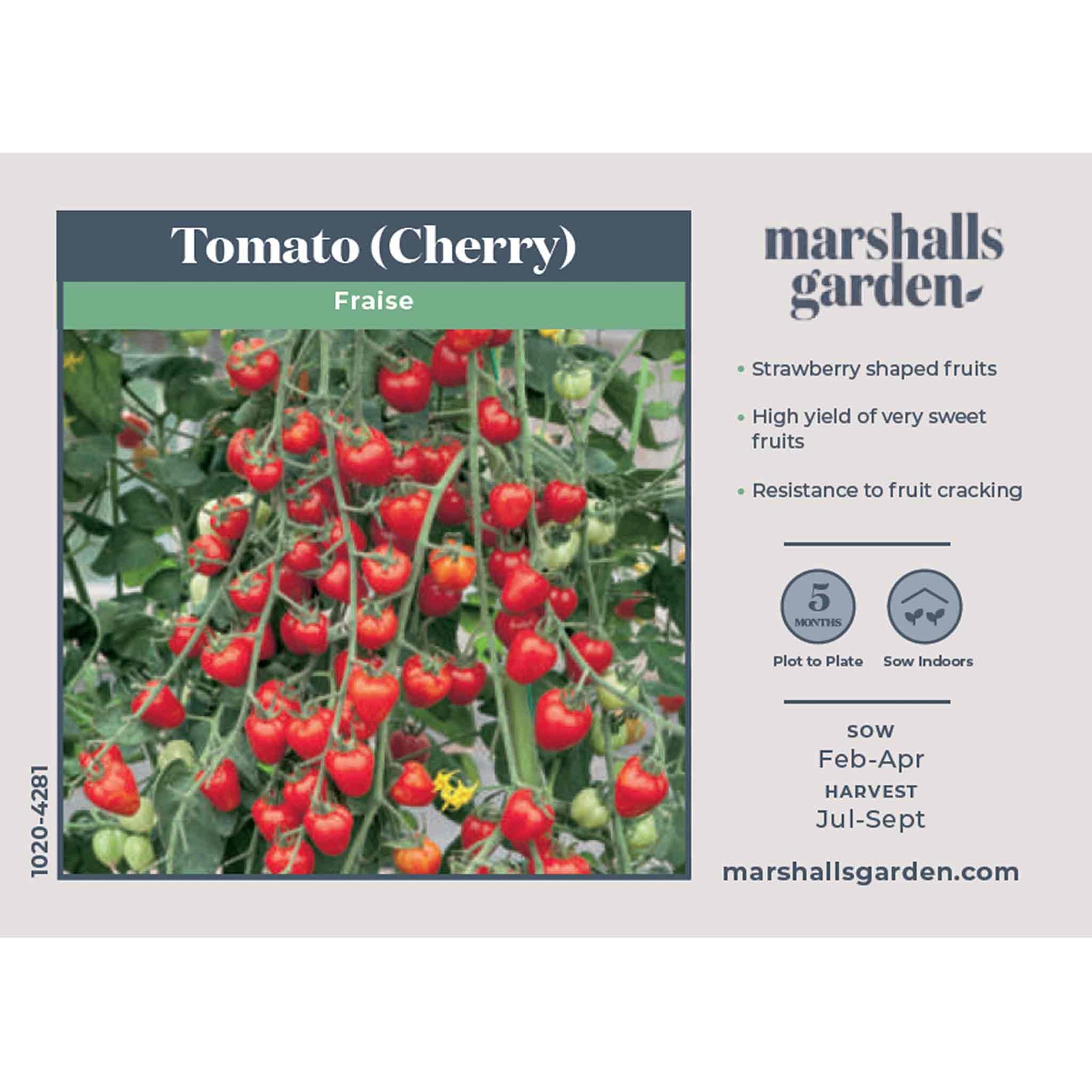 Tomato Seeds 'fraise' - Strawberry-shaped Cherry | 15 Seeds