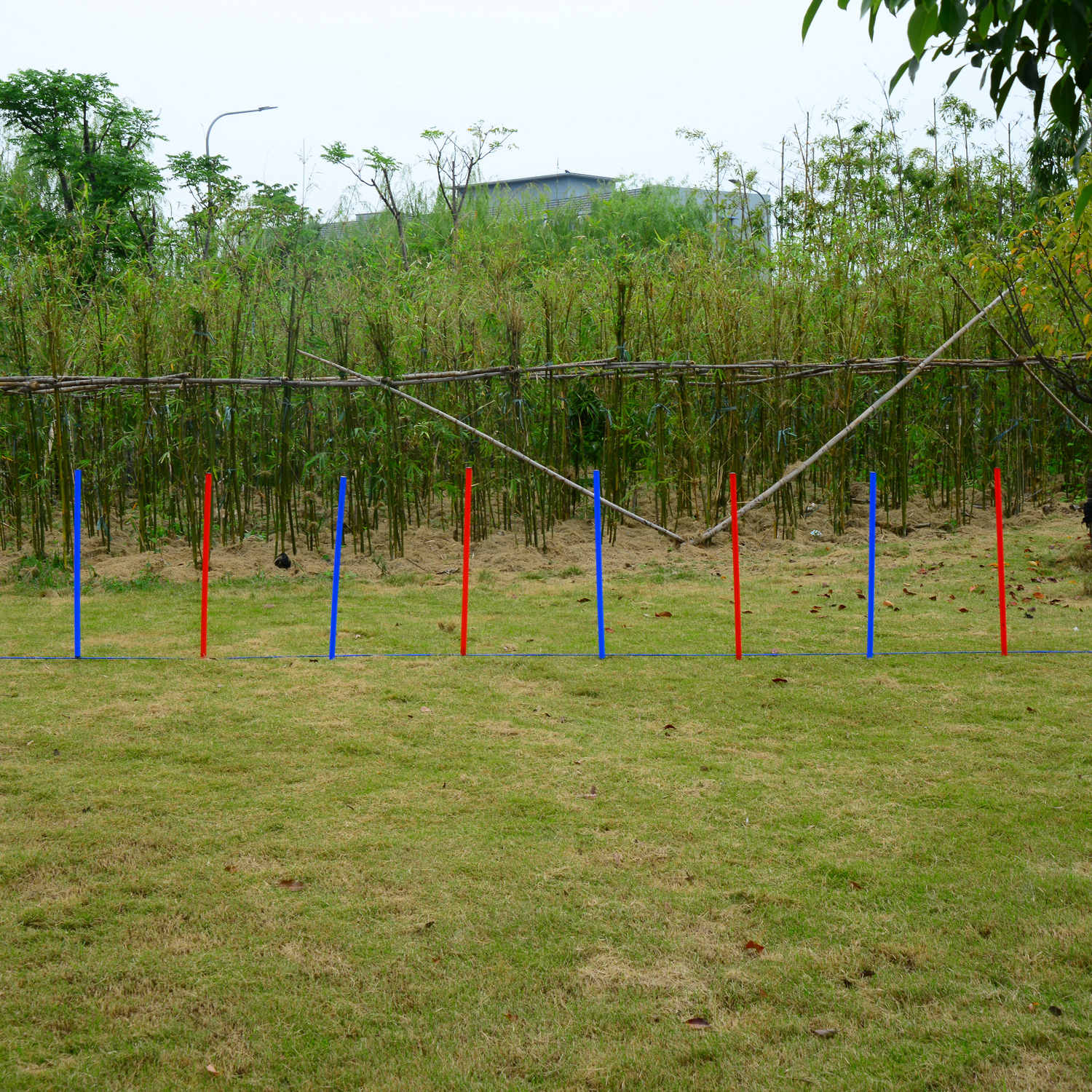 Pet Agility Set Training Dogs Outdoor Outward Play Adjustable Pole