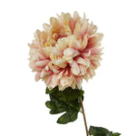 Pack Of 6 X 75cm Extra Large Reflex Chrysanthemum - Pink