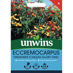 Eccremocarpus 'fireworks' Seeds, Chilean Glory Vine | 30 Seeds | Green