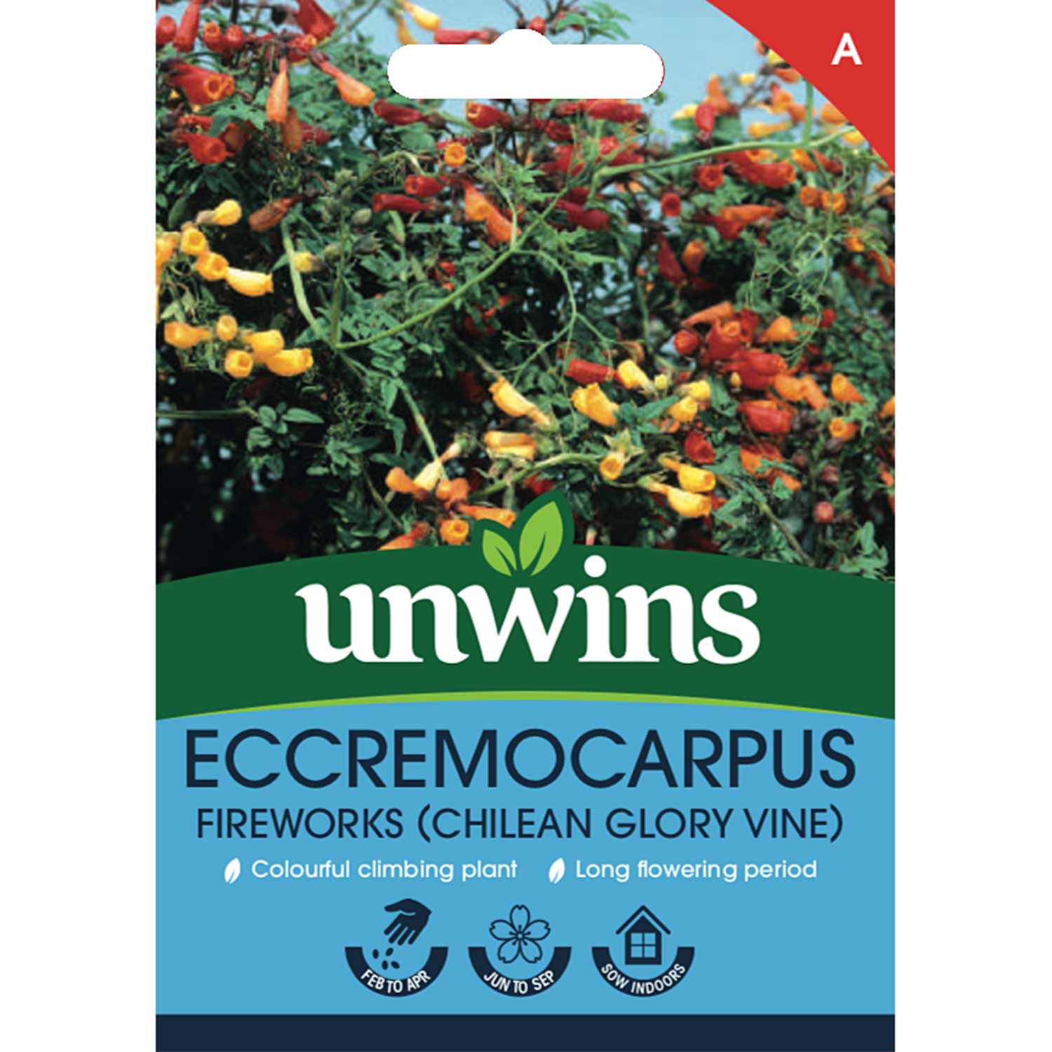 Eccremocarpus 'fireworks' Seeds, Chilean Glory Vine | 30 Seeds | Green
