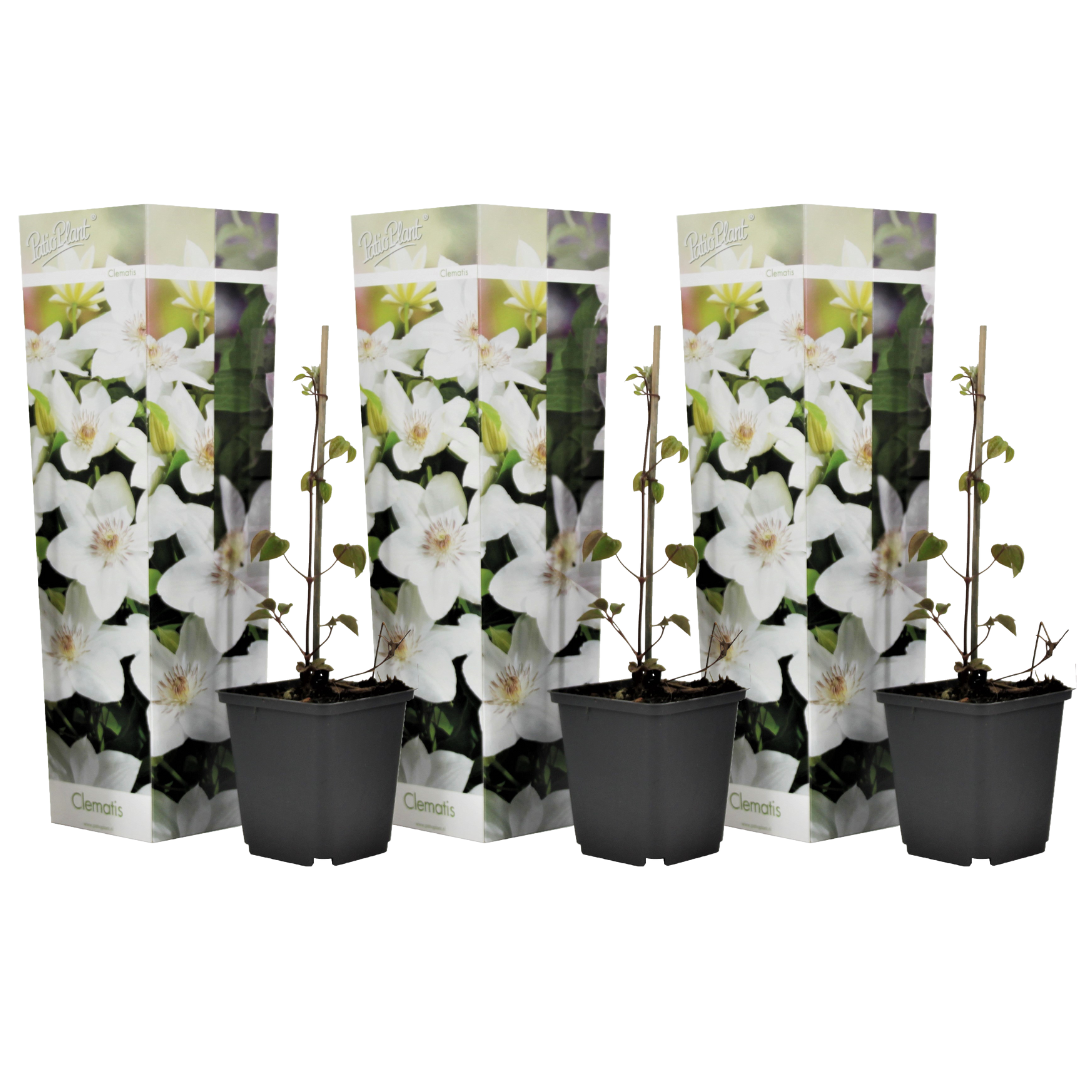 Leather Flower - 3 Pcs. - Height 25-40cm - ⌀9cm | Set of 3 | White