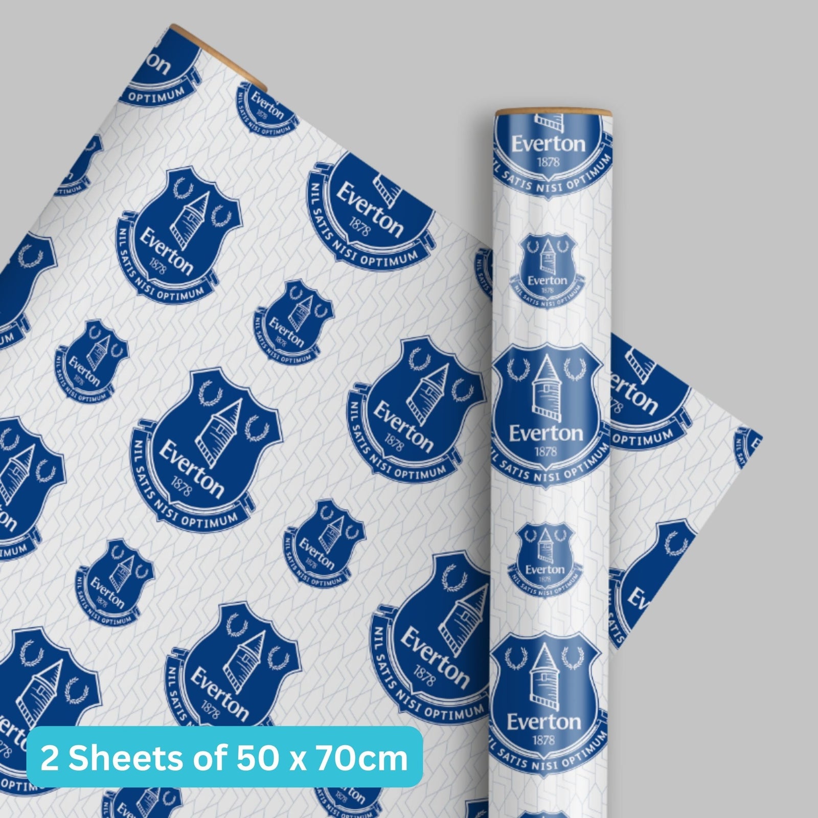2 Sheets & 2 Tags Wrapping Paper