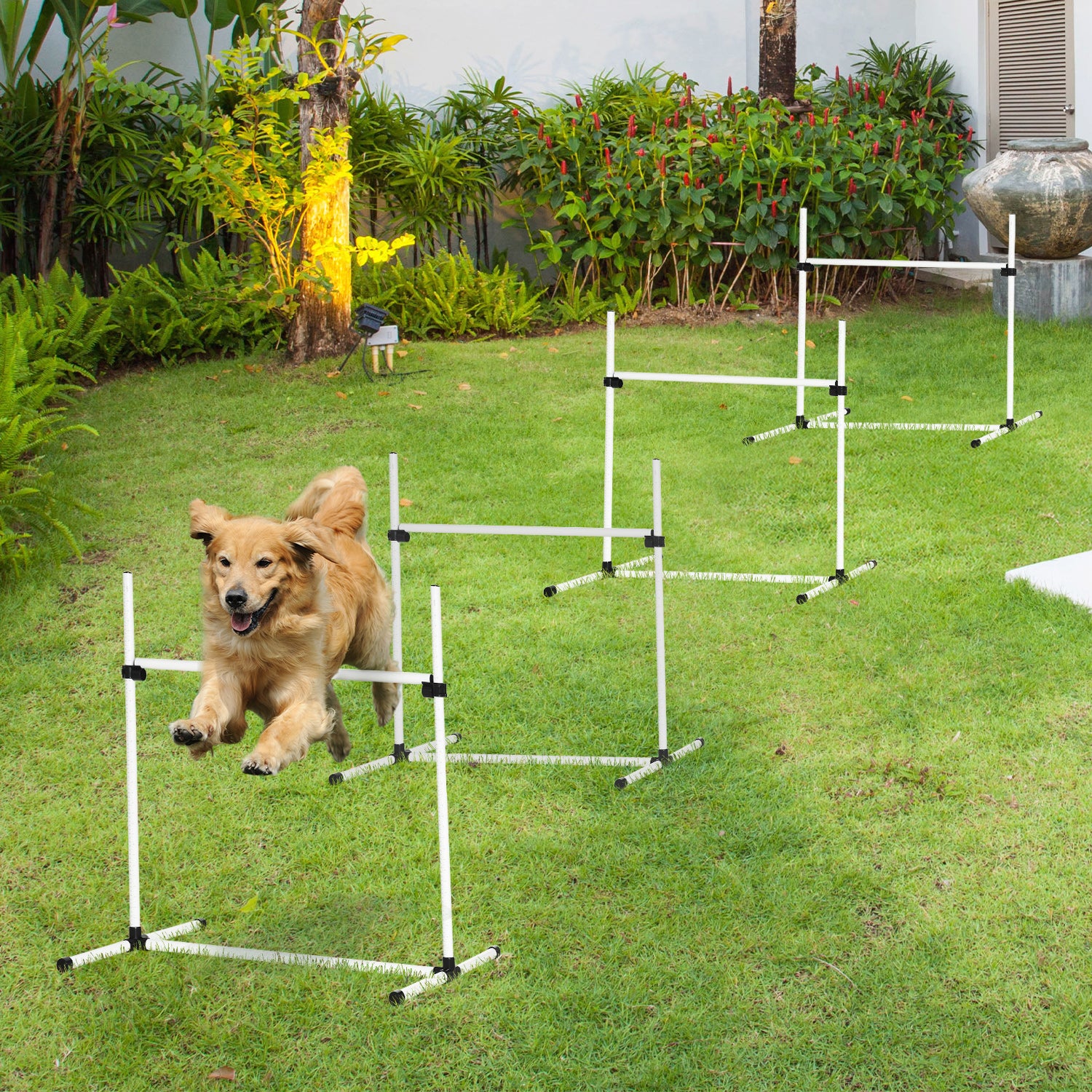 Canine Agility Set Dog High Jump Training Exercise Obstacles Set