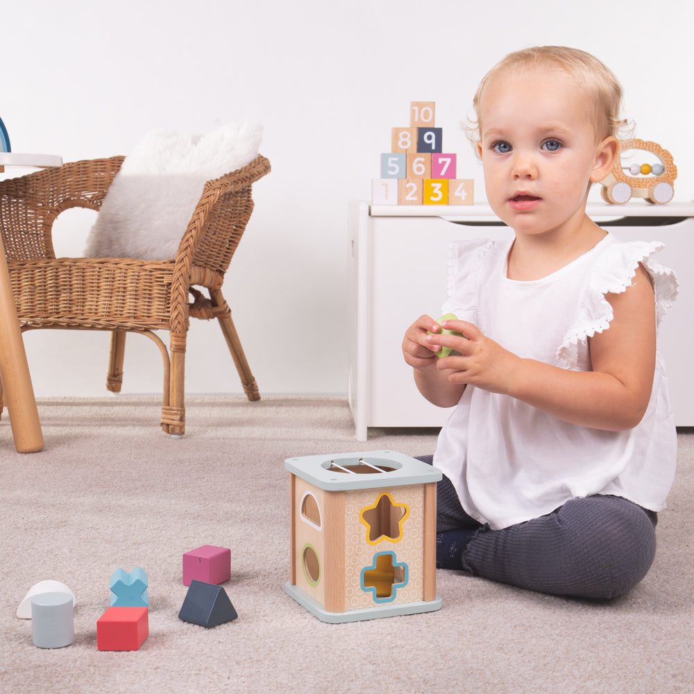 Bigjigs Toys Wooden Shape Sorter, Includes 9 Play Pieces