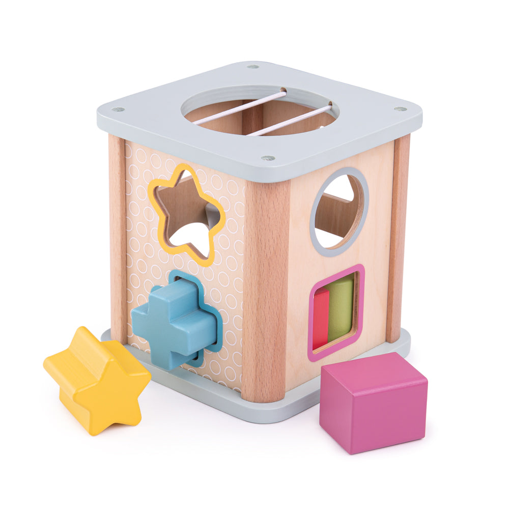 Bigjigs Toys Wooden Shape Sorter, Includes 9 Play Pieces