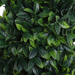 2 Pack 120cm Artificial Boxwood Spiral Tree Decorative