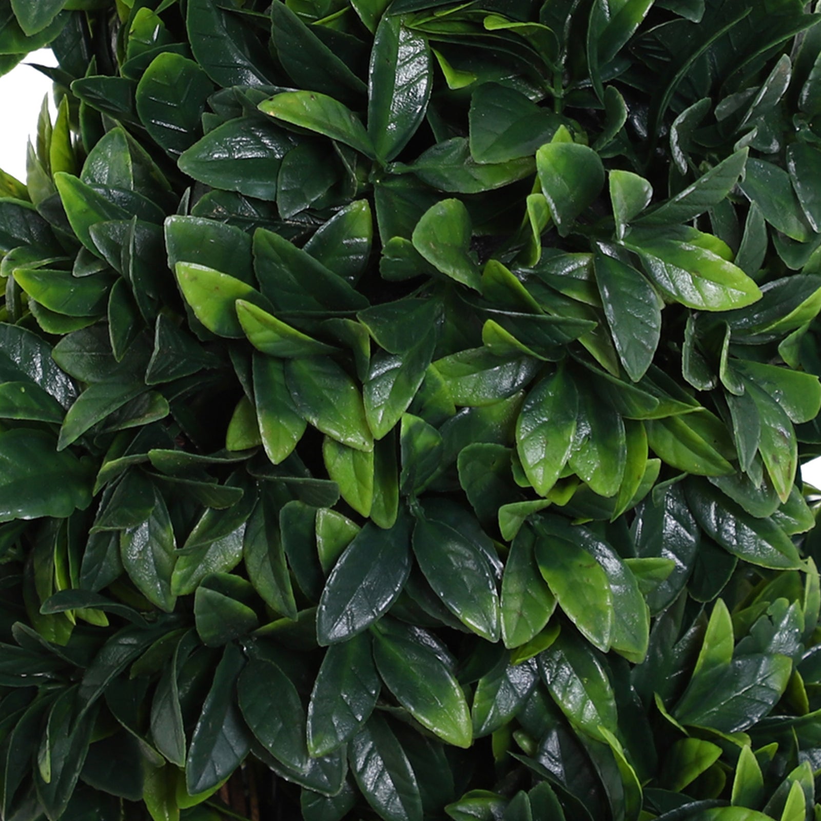 2 Pack 120cm Artificial Boxwood Spiral Tree Decorative