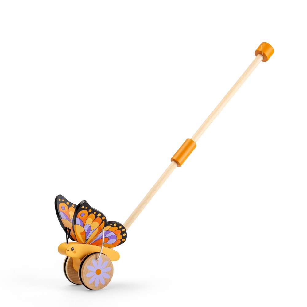 Bigjigs Toys Butterfly Push Along
