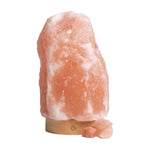Himalayan Salt Lamp Home Decor Mood Light With Dimmer And Flame Main