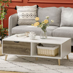 Modern Coffee Table With Storage Shelves, 2 Drawers