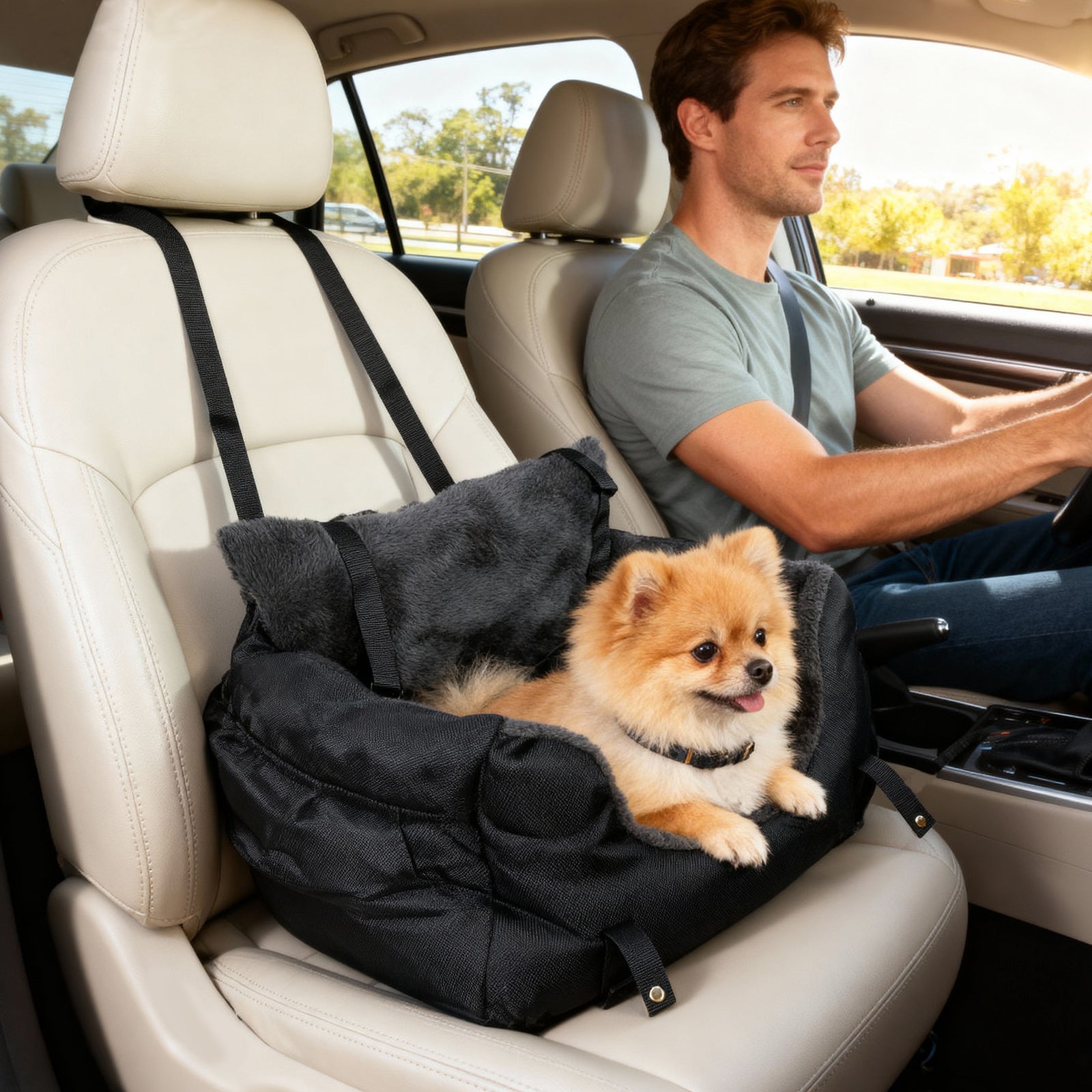 Dog Car Seat For Small Dogs, Dog Booster Car Seat With Fixed Buckle