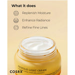 Full Fit Propolis Light Cream 65ml