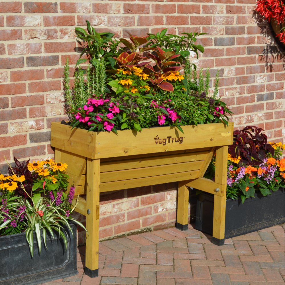 Raised Wooden Planter -Small Wall Hugger | Natural