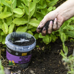 Biochar Soil Improver — Uk-sourced, Soil Association & Biodynamic Certified | 1L