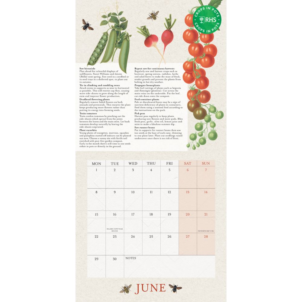 2026 Mini Calendar Official Product