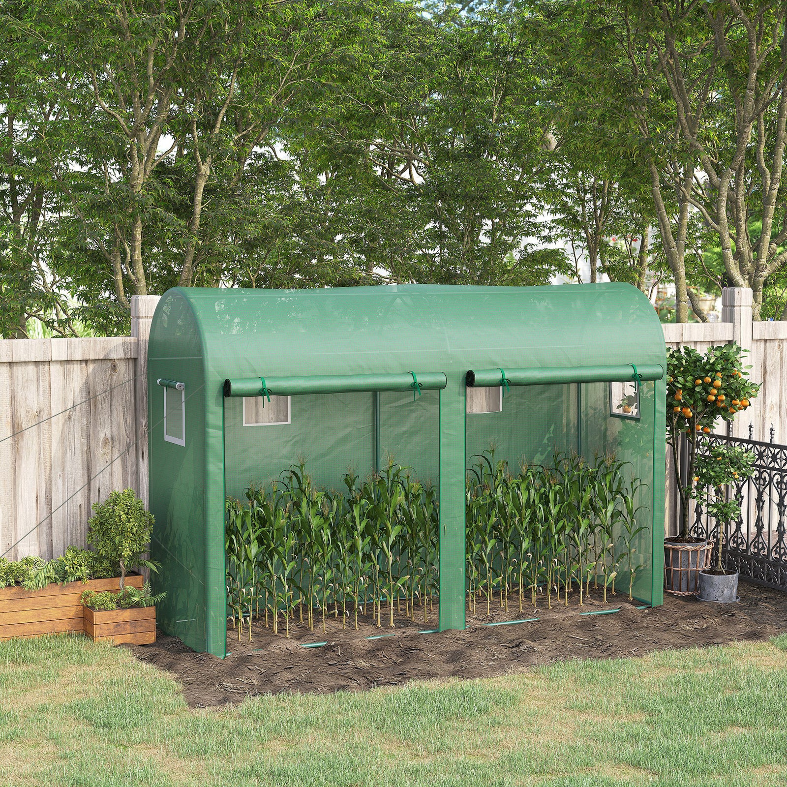 Tomato Greenhouse W/ Double Doors & Windows 3x1x2m