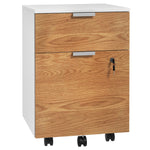 2 Drawer Filing Cabinet With Adjustable Hanging Bars