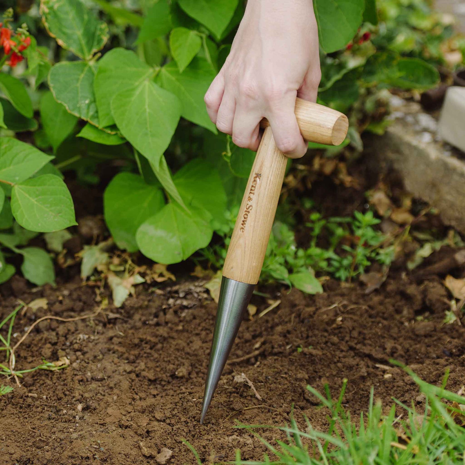 Stainless Steel Dibber, Ash Wood T-handle, 28 Cm | 28cm
