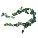 6 X 180cm Artificial Hanging Trailing Amazonica Plant