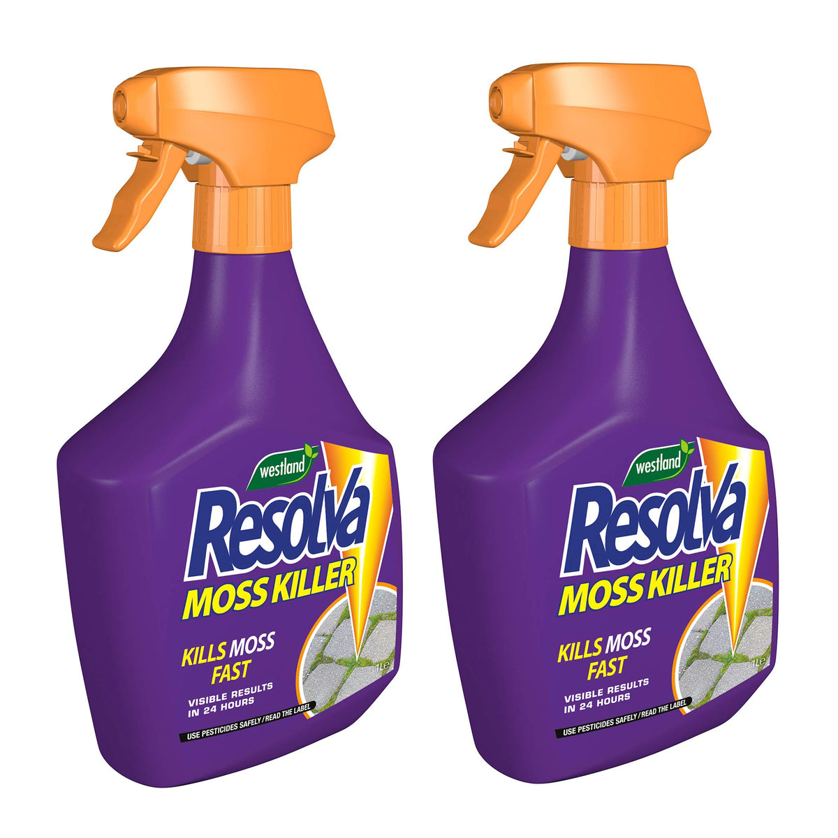 Moss Killer Ready To Use | Set of 2