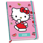 2026 A5 Diary Official Product