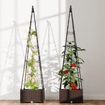 Outsunny Raised Garden Bed Planter Box With Trellis And Self Watering